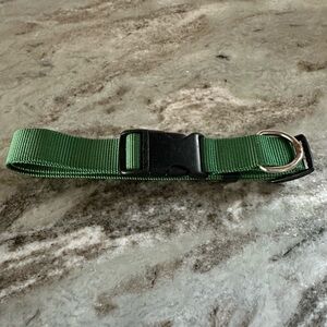 Green Adjustable Dog Collar
